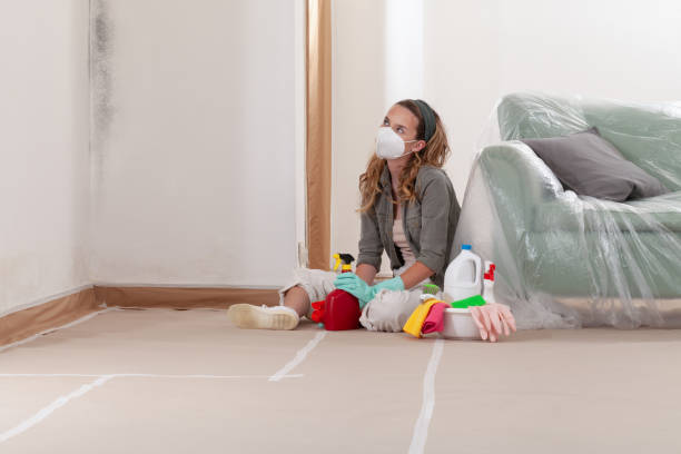 Reliable Mold Testing contractor in Free Soil, MI by WQB Mold Removal